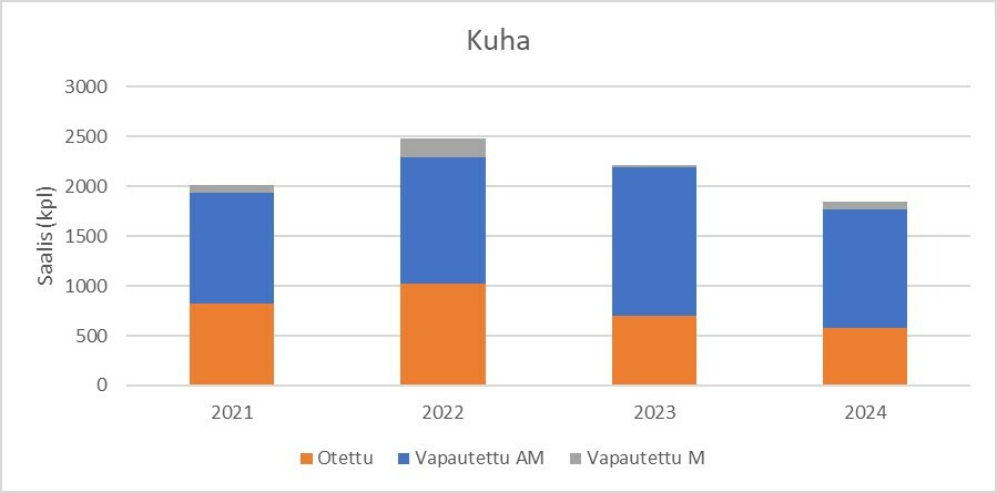 Kuha 2021-