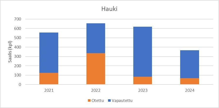 Hauki 2021-